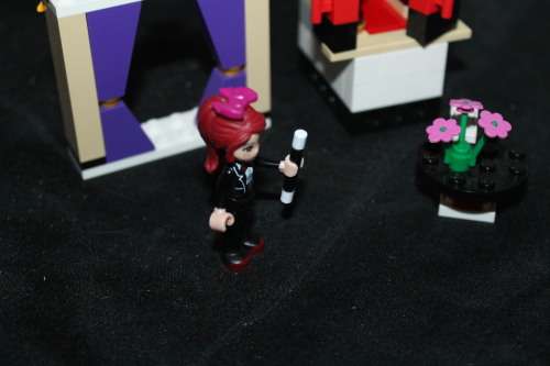 Lego Friends 41001