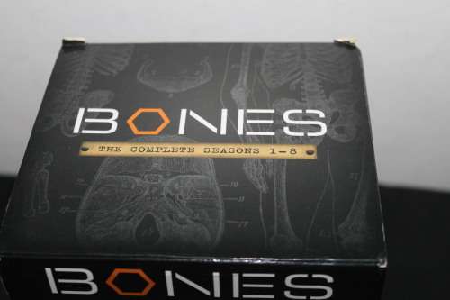 Bones Season 1 - 8