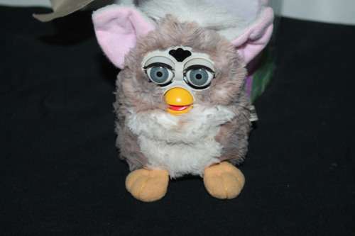 Boxed Furby