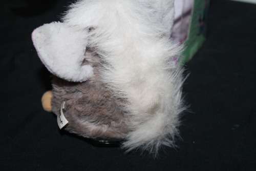 Boxed Furby