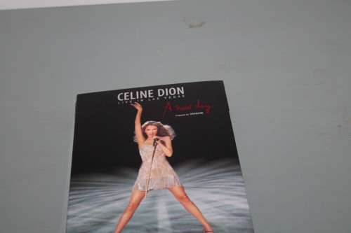 Celine Dion a New Day