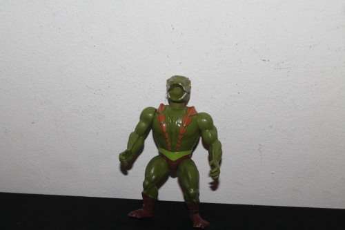 MOTU Action Figure
