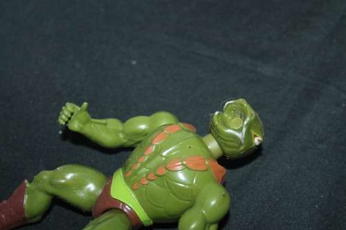 MOTU Action Figure