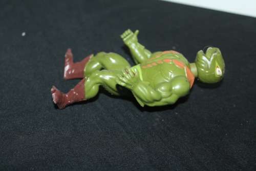 MOTU Action Figure