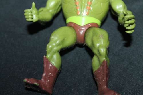 MOTU Action Figure
