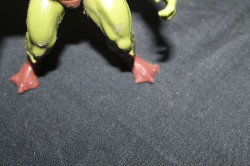 MOTU Action Figure