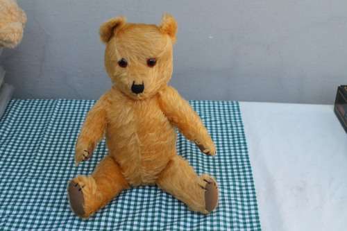 Hard Bodied Teddy Bear