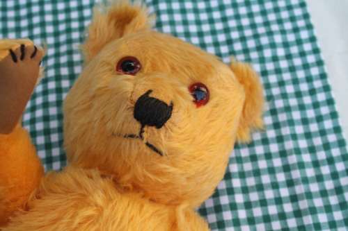 Hard Bodied Teddy Bear