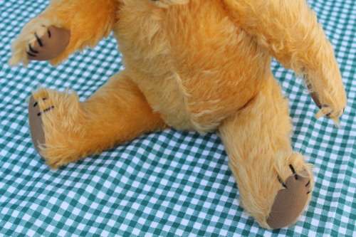 Hard Bodied Teddy Bear