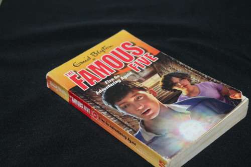 Famous Five go Adventuring Again Enid Blyton