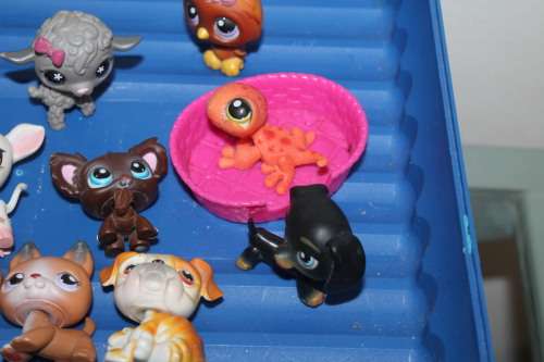 Little Pet Shop and Hasbro Toys