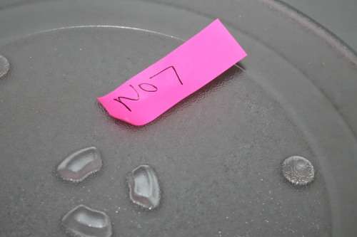 Microwave Plate No 7