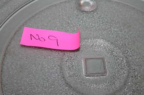 Microwave Plate No 9