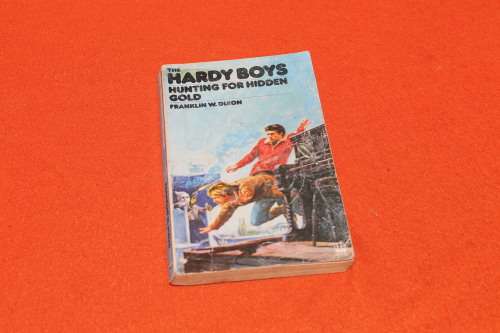 The Hardy Boys  Hunting for Hidden gold