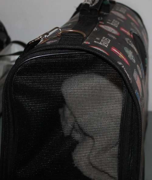 Pet Carrier