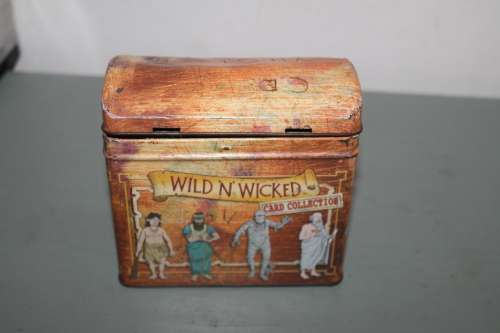 Wild `n Wicked Card Collection