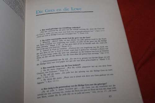 Die Bybel Spreek