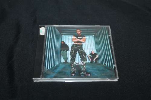 Skunk Anansie Paranoid and Sunburnt