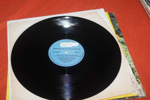 Yvonne Chaka Chaka Promotional Copy