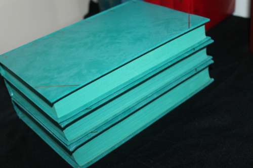 19 x The Companion Book Club Books