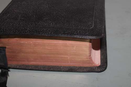 The Interlinear Bible Leather Bound