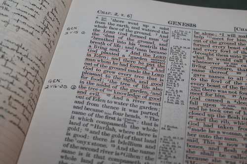 The Interlinear Bible Leather Bound