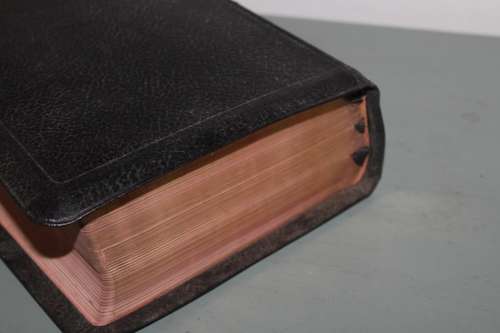 The Interlinear Bible Leather Bound
