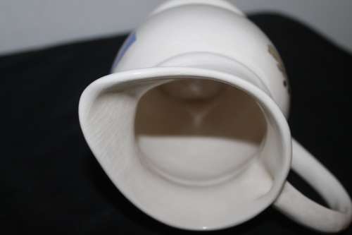 1995 Rugby World Cup Water Pitcher