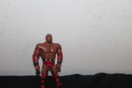 Wrestling Action figure