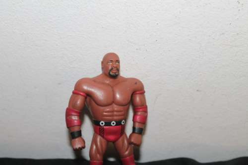 Wrestling Action figure