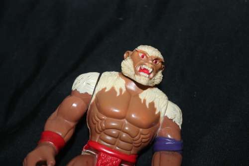 Thundercat`s Monkian