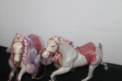 2 Pink and White Horses