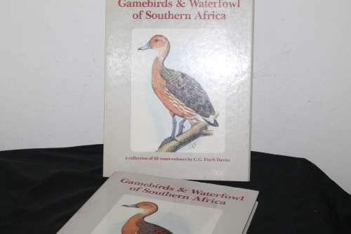 Gamebirds & Waterfowl of Southern Africa C G Finch-Davies