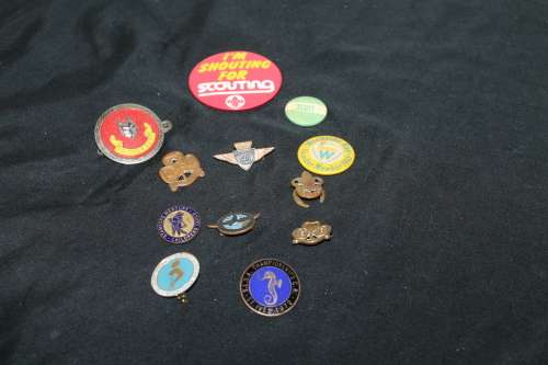 12 Assorted Pin Badges