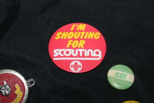 12 Assorted Pin Badges