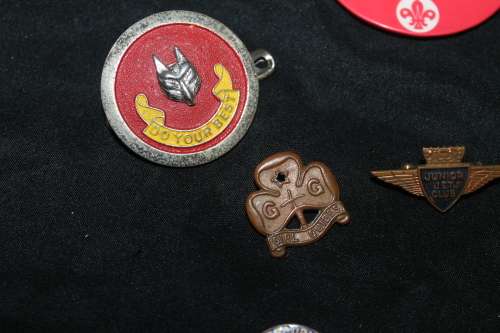 12 Assorted Pin Badges