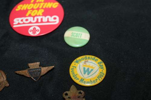 12 Assorted Pin Badges