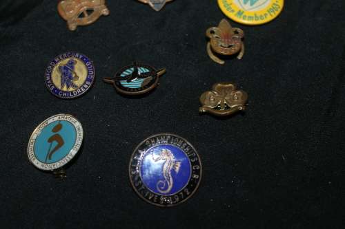 12 Assorted Pin Badges