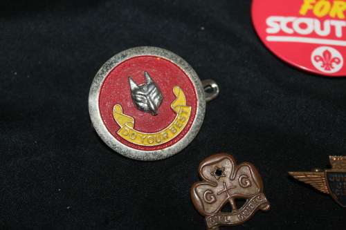 12 Assorted Pin Badges