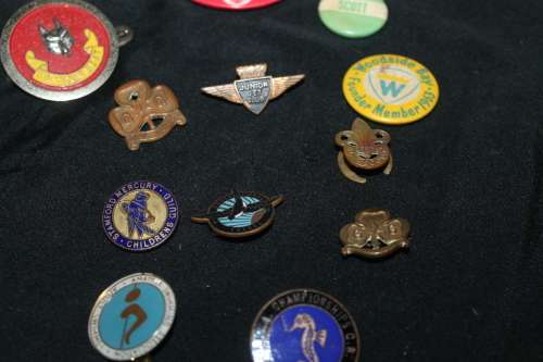 12 Assorted Pin Badges
