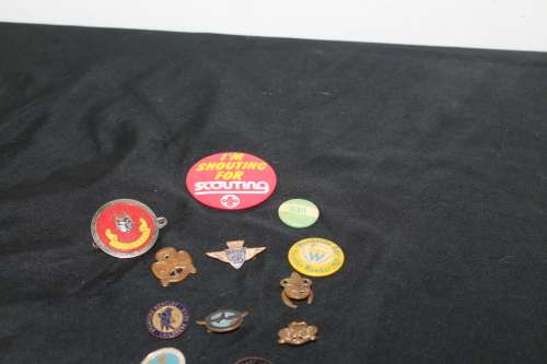 12 Assorted Pin Badges