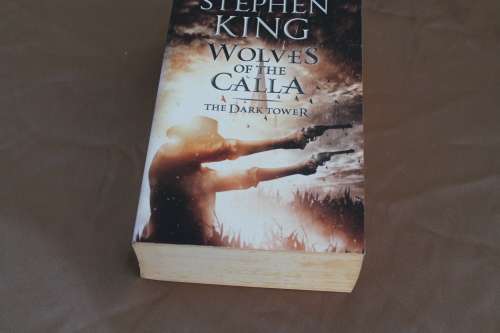Stephen King Wolves of the Calla