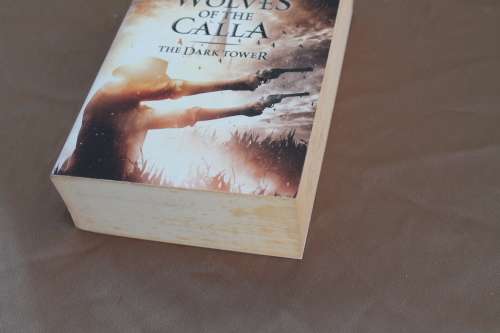 Stephen King Wolves of the Calla