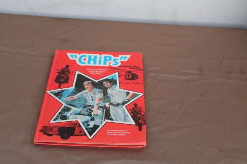 Chips 1981 Annual