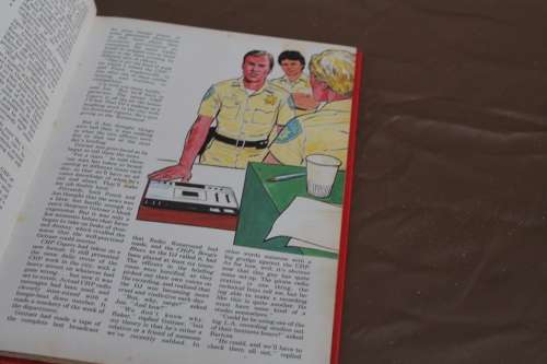 Chips 1981 Annual