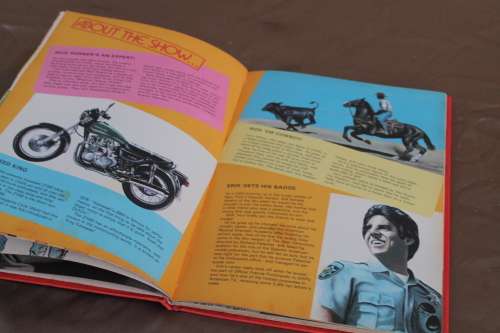 Chips 1981 Annual