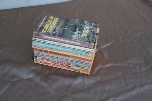 10 Assorted Western`s
