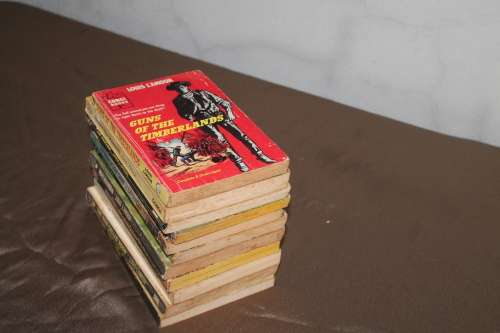 10 Assorted Louis L`Amour books