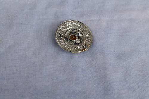 Costume Broach