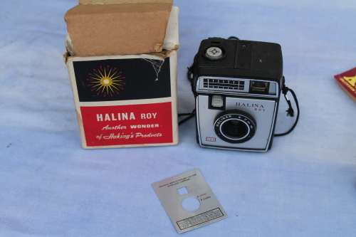 Halina Roy